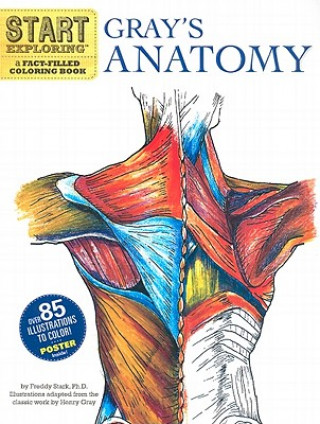 Kniha Start Exploring: Gray's Anatomy Freddy Stark