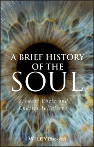 Buch Brief History of the Soul Stewart Goetz