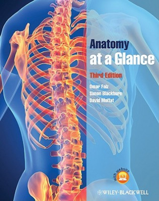 Книга Anatomy at a Glance 3e Omar Faiz