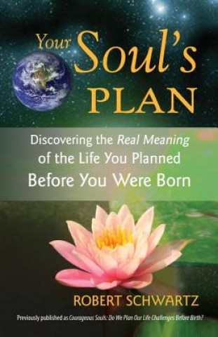 Carte Your Soul's Plan Robert Schwartz