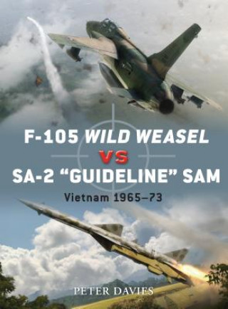 Könyv F-105 Wild Weasel vs SA-2 'Guideline' SAM Peter Davies