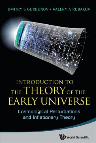 Książka Introduction To The Theory Of The Early Universe: Cosmological Perturbations And Inflationary Theory Dmitry Gorbunov