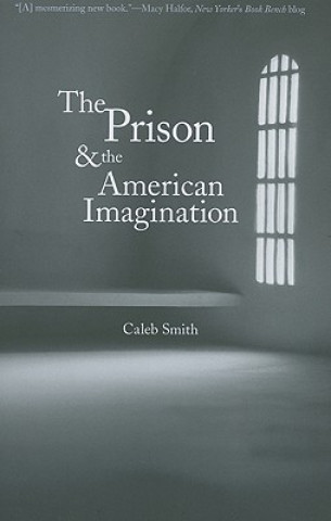 Kniha Prison and the American Imagination Caleb Smith