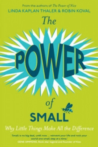 Libro Power of Small Linda Kaplan