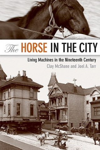 Kniha Horse in the City Clay McShane