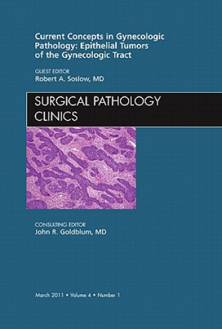 Kniha Current Concepts in Gynecologic Pathology: Epithelial Tumors of the Gynecologic Tract, An Issue of Surgical Pathology Clinics Robert Soslow