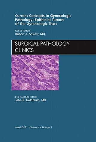 Könyv Current Concepts in Gynecologic Pathology: Epithelial Tumors of the Gynecologic Tract, An Issue of Surgical Pathology Clinics Robert Soslow