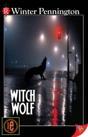 Kniha Witch Wolf Winter Pennington