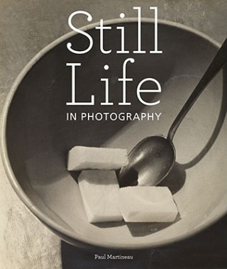 Könyv Still Life in Photographs Paul Martineau