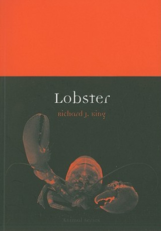 Kniha Lobster Richard J King