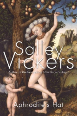 Knjiga Aphrodite's Hat Sally Vickers
