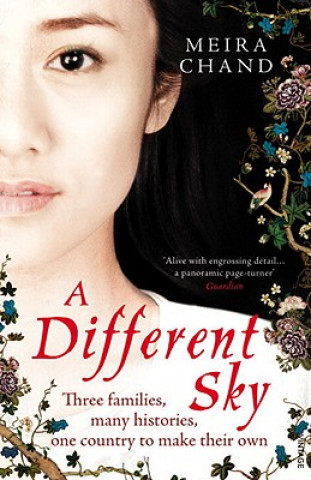 Книга Different  Sky Meira Chand