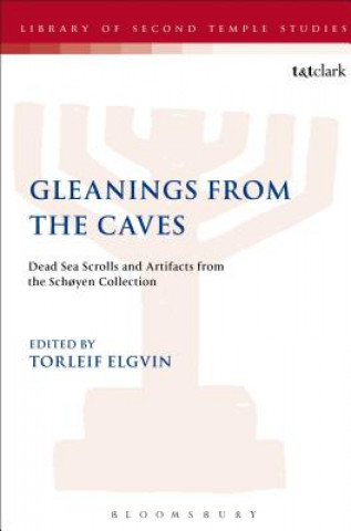 Libro Gleanings from the Caves Torleif Elgvin
