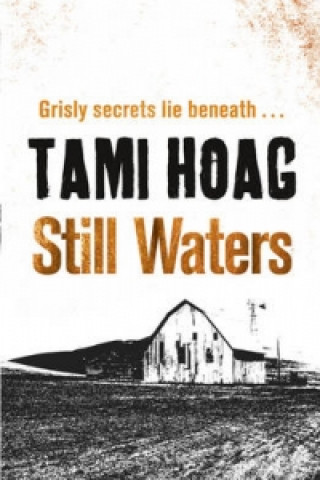 Livre Still Waters Tami Hoag