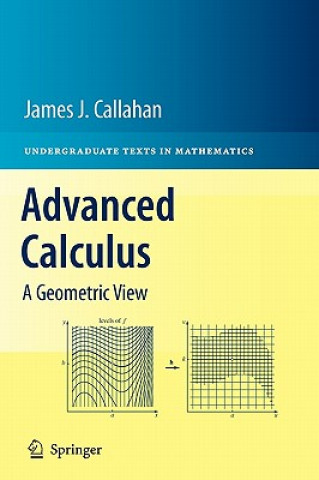 Könyv Advanced Calculus James Callahan