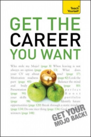 Kniha Get The Career You Want Karen Mannering