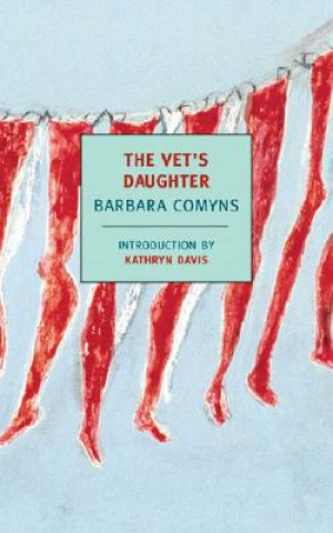 Könyv Vet's Daughter Barbara Comyns