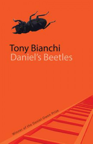 Könyv Daniel's Beetles Tony Bianchi
