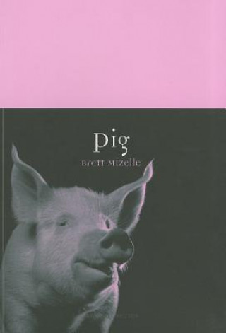 Kniha Pig Brett Mizelle