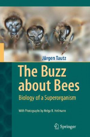 Kniha Buzz about Bees Jürgen Tautz