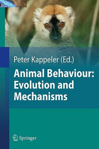 Kniha Animal Behaviour: Evolution and Mechanisms Nils Anthes
