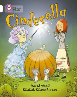 Kniha Cinderella David Wood
