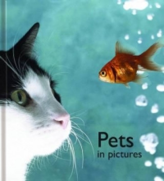Knjiga Pets in Pictures Helen Bate