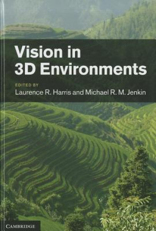 Buch Vision in 3D Environments Laurence R Harris