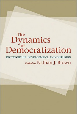 Buch Dynamics of Democratization Nathan Brown