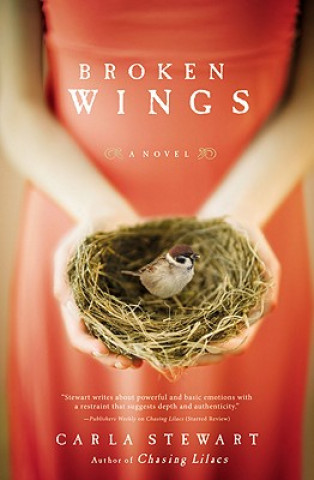 Buch Broken Wings Carla Stewart