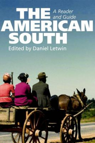 Libro American South Daniel Letwin