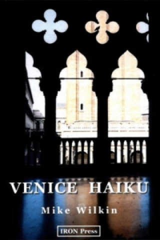 Könyv Venice Haiku Michael Wilkin