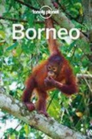 Carte Borneo Daniel Robinson