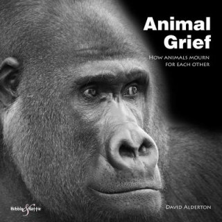 Carte Animal Grief David Alderton