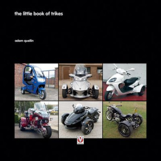 Kniha Little Book of Trikes Adam Quellin