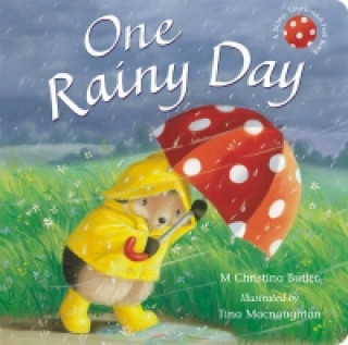 Könyv One Rainy Day M Butler