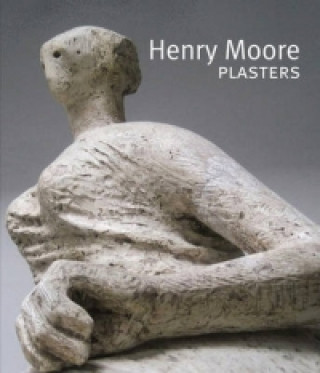 Книга Henry Moore Plasters Anita Feldman