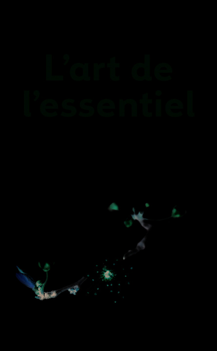 Buch L'Art De L'Essentiel     FL Dominique Loreau