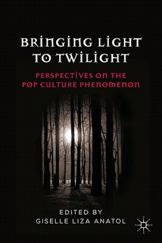 Kniha Bringing Light to Twilight Giselle Liza Anatol