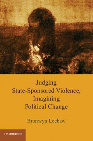 Könyv Judging State-Sponsored Violence, Imagining Political Change Leebaw