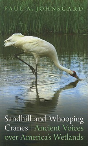 Carte Sandhill and Whooping Cranes Paul Johnsgard