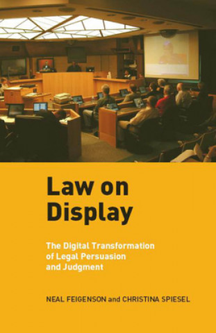 Kniha Law on Display Neal Feigenson