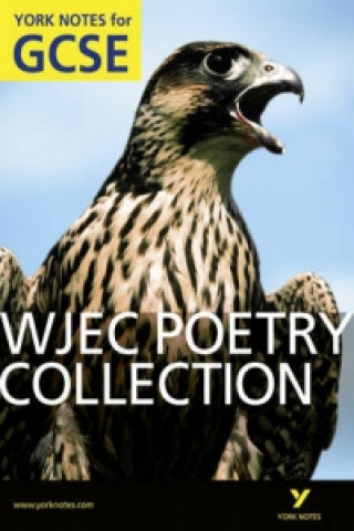 Kniha WJEC Poetry Collection: York Notes for GCSE (Grades A*-G) Mary Green