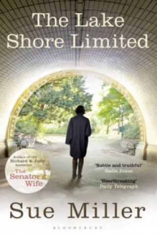 Kniha Lake Shore Limited Sue Miller