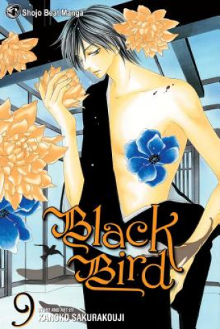 Kniha Black Bird, Vol. 9 Kanoko Sakurakoji