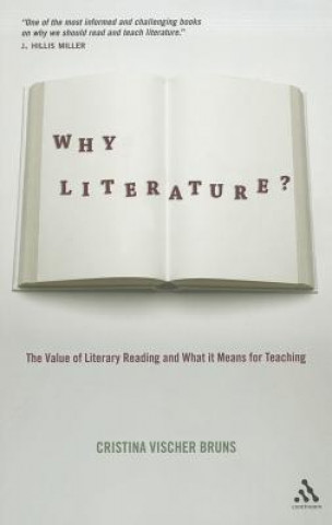 Carte Why Literature? Cristina Vischer Bruns
