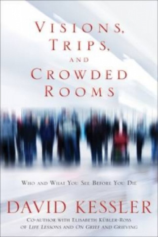 Carte Visions, Trips And Crowded Rooms David Kessler
