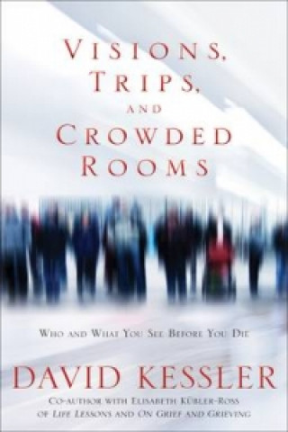 Книга Visions, Trips And Crowded Rooms David Kessler