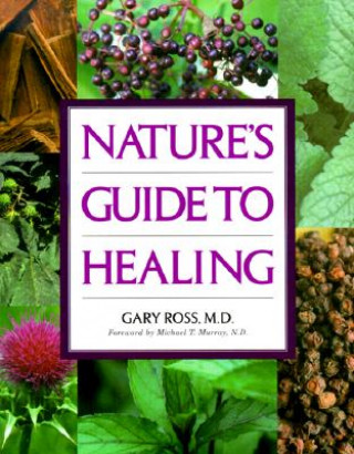 Kniha Nature's Guide to Healing Gary S Ross