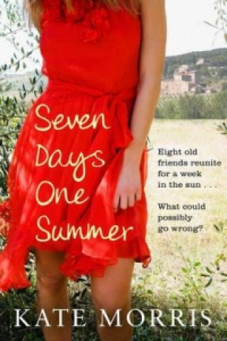 Könyv Seven Days One Summer Kate Morris